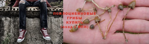 дживик Алексеевка