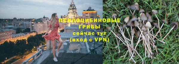 тгк Алексин