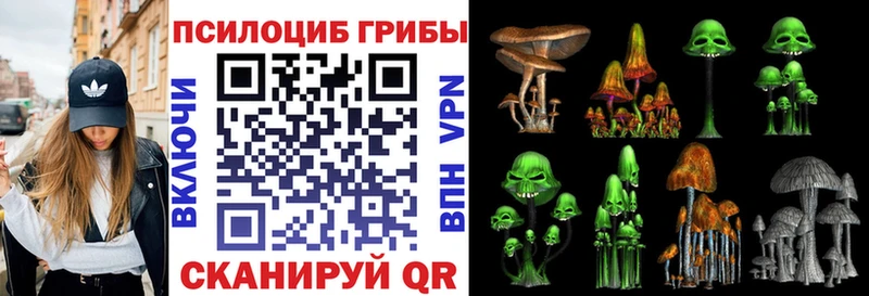 blacksprut ССЫЛКА  Ветлуга  Галлюциногенные грибы Magic Shrooms  где купить  