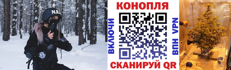 Канабис конопля Ветлуга
